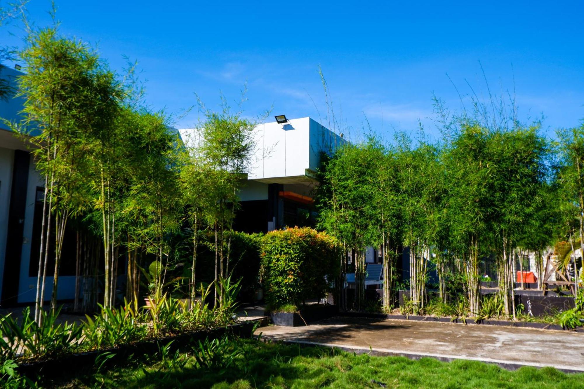 Casi Verde Guest House Panglao Dış mekan fotoğraf