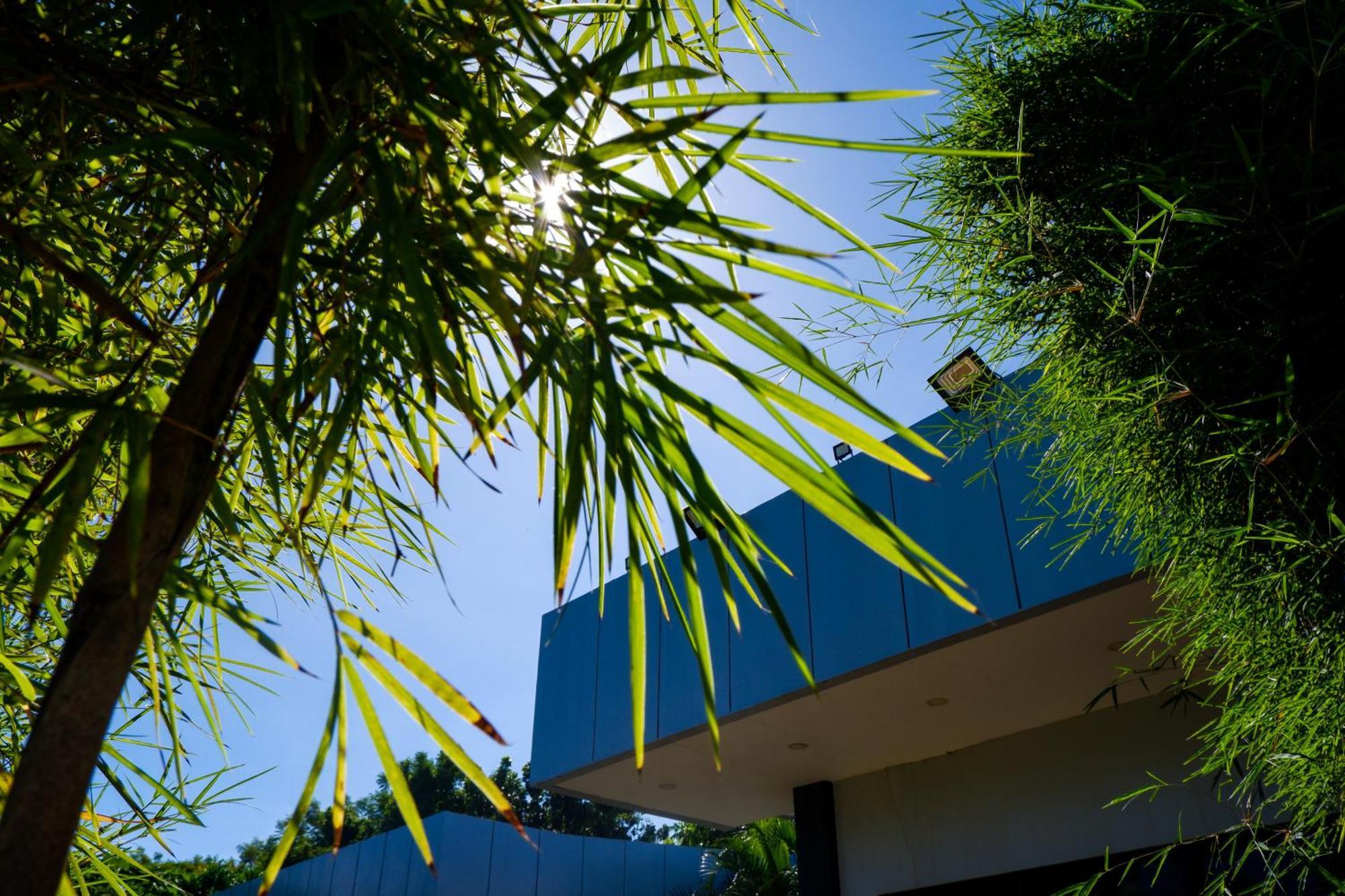 Casi Verde Guest House Panglao Dış mekan fotoğraf